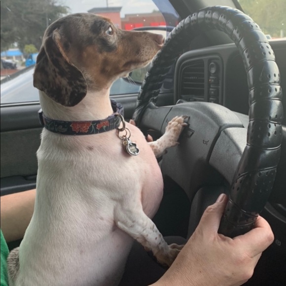 Meet your Posher, Deborah - Picture 3 of 15